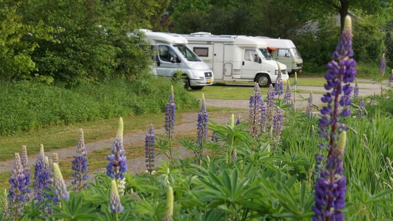 Camperpark Landgoed Meistershof