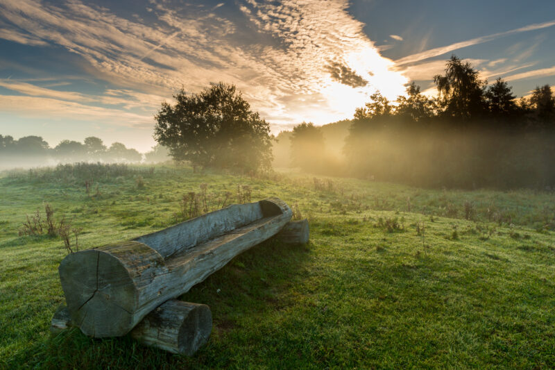 7.3 Westerwolde – Wandelweekend