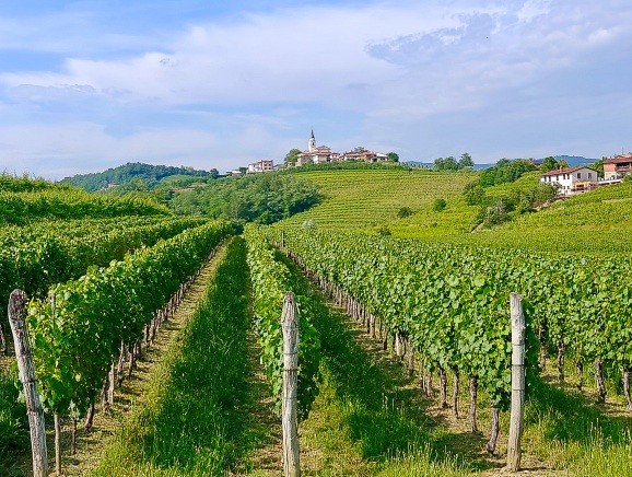 Slovenië – Groene Verrassing | 2027-068