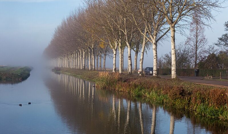 Uitzicht over de rivier de Linge met mist