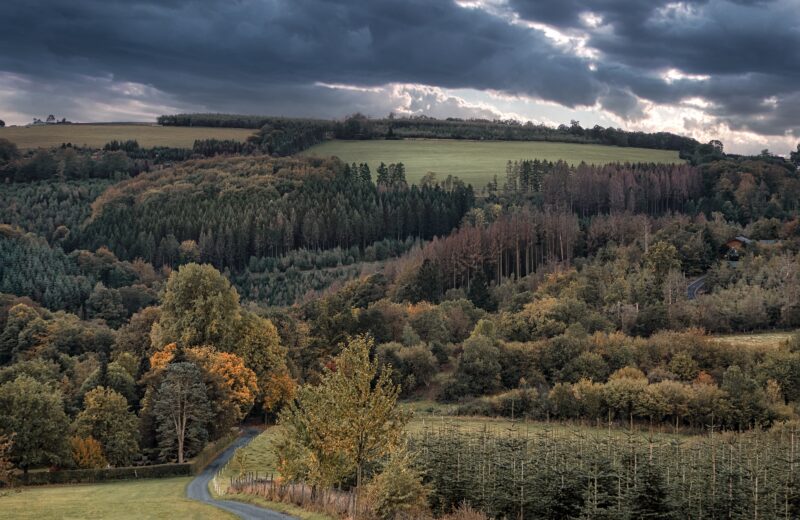 Duitsland – Wandelen in het Sauerland | 2027-060