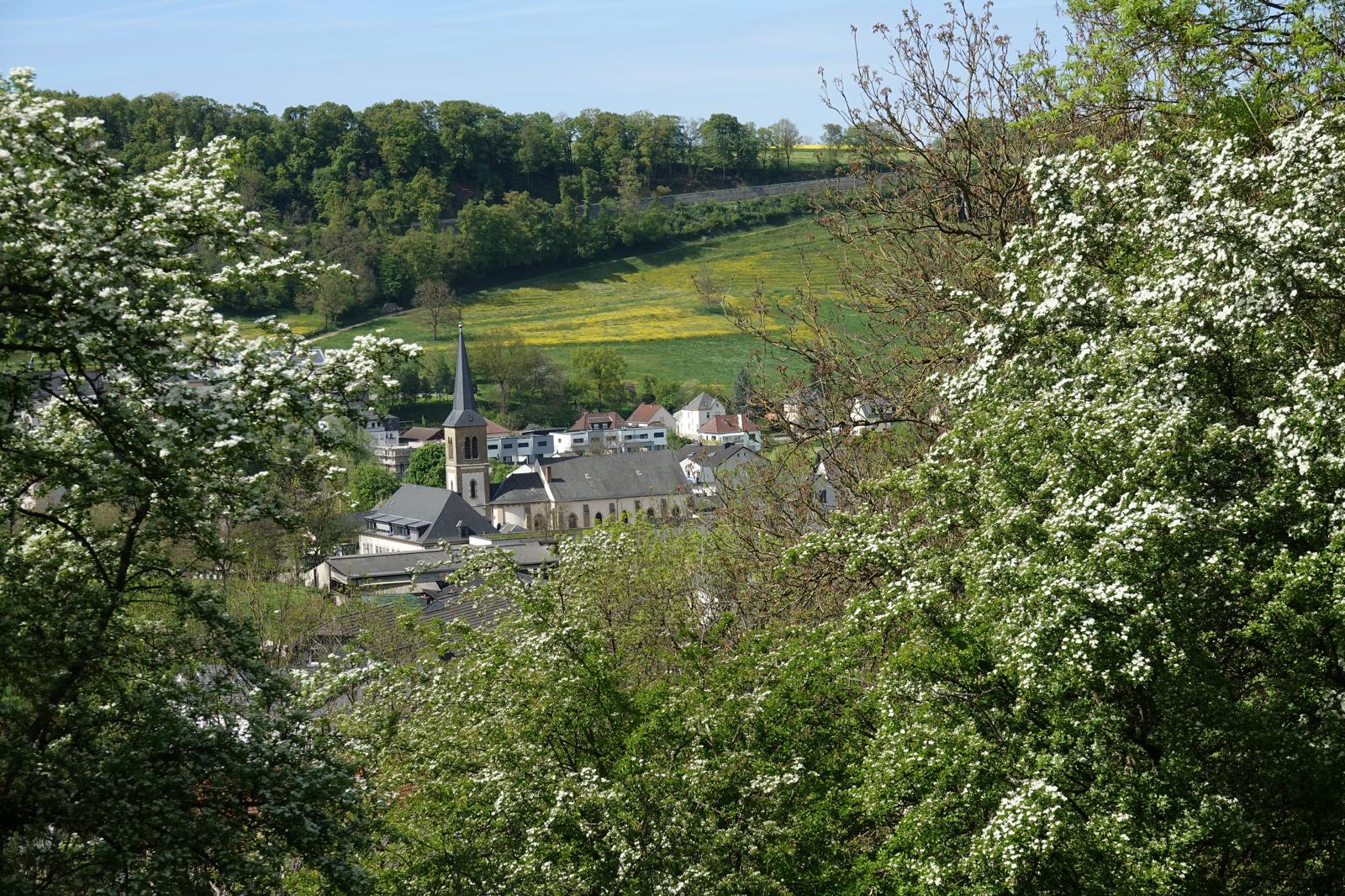 2. Luxemburg – Reisdorf – Ontdek Luxemburg 2027-150