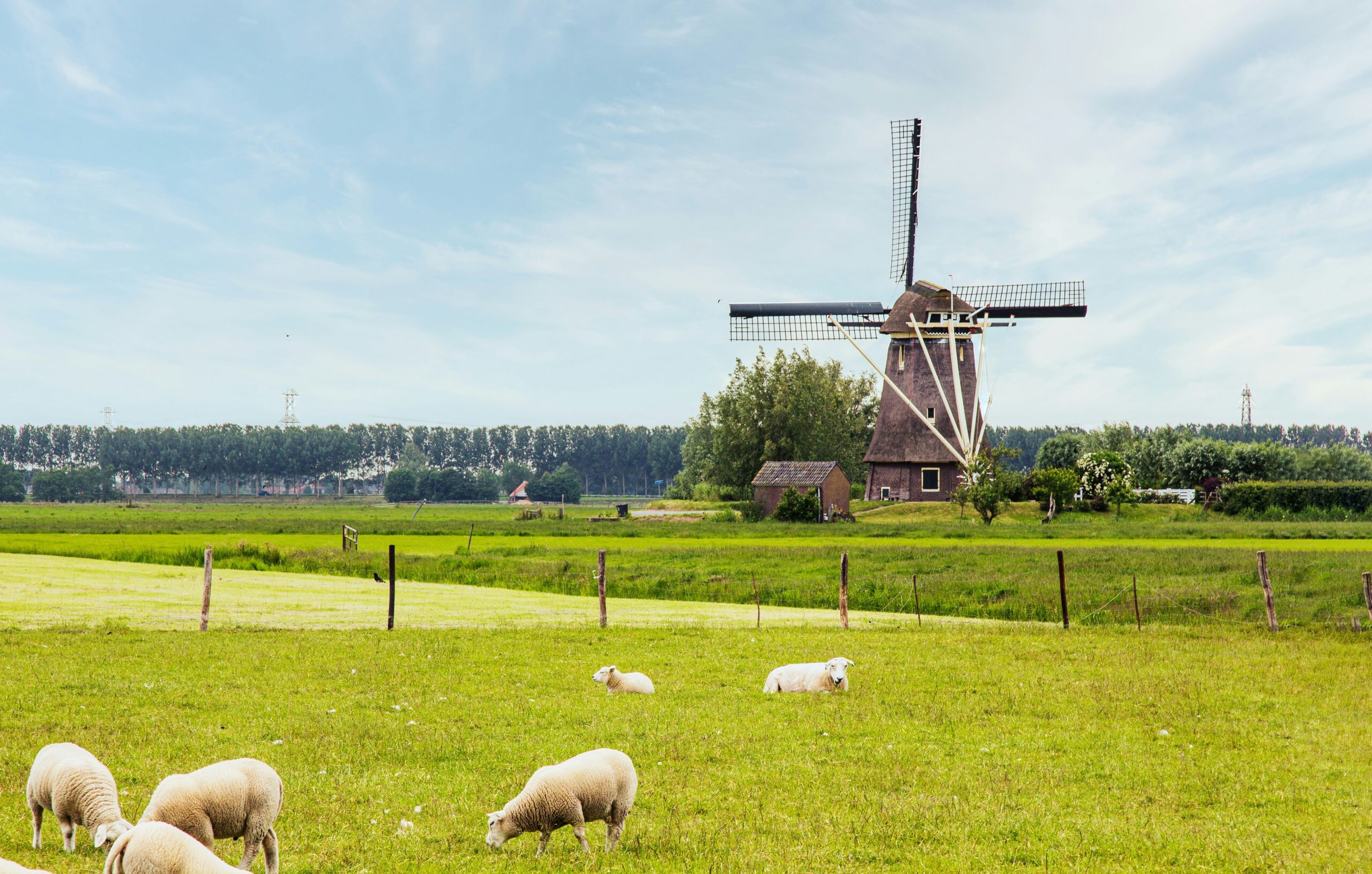 Nederlands, molen